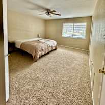 Jenine's room