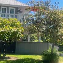 MARLENE DE MELT's room