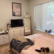 Paulina's room