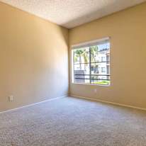 Sehar's room