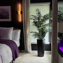 Dee's room