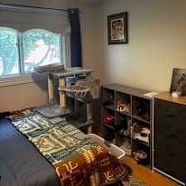 Thomas's room