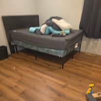 Jesse's room