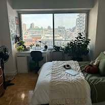 Ozgun Varol's room