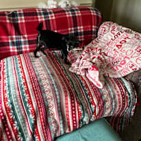 Dora Cox's room