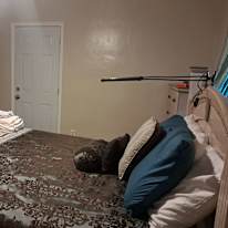 Margarita's room