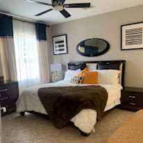 Alison's room