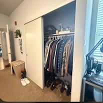 parisa's room