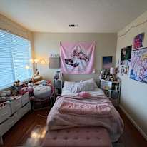 Zeynep's room