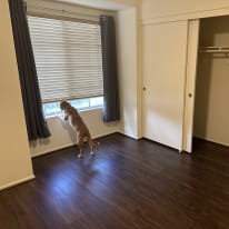 Rob's room