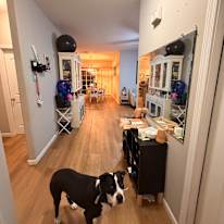 Anna's room