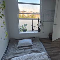 Ihor's room