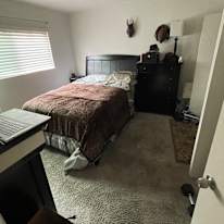 Jon R Simon's room