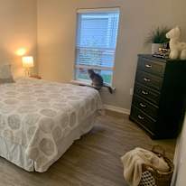 Liz Gonzalez's room