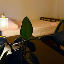 Siva's room