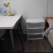 Ani's room