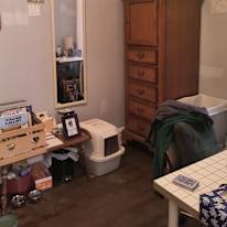 Caitlin E Ferris's room