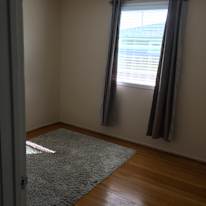 Shirley's room