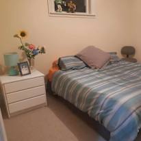 Alison's room