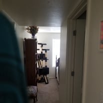 Linda's room
