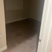 Anthony's room