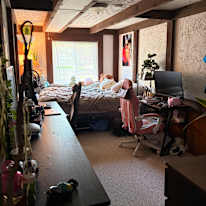 Teagan's room