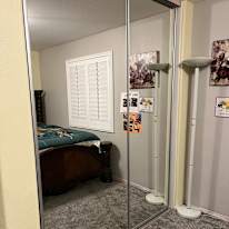 Zinaida's room