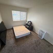 Vanessa's room