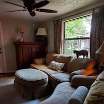 Jebbie's room
