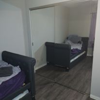 Shawn's room
