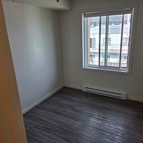 Shane's room