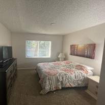 Dave's room