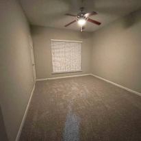 Selia's room