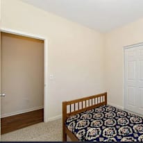 Shah's room
