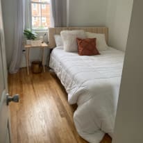 Haelly's room