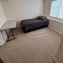 Shane's room