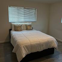 Patricia's room