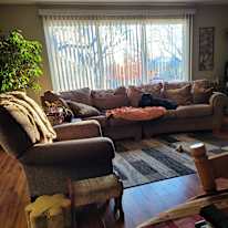 Dawn's room