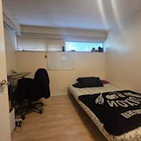 Dragan's room