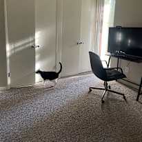 Annie's room