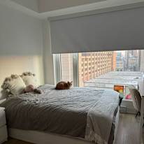 Ambre Ferlaud's room