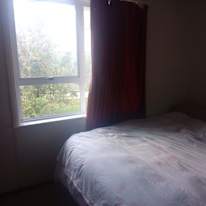 Shelley's room
