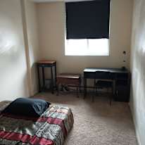 Harold's room