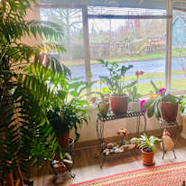 Osher's room
