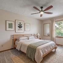 Shawn's room