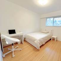 Shirin's room