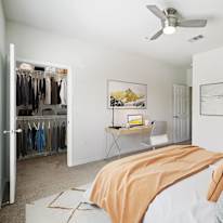 Amy's room