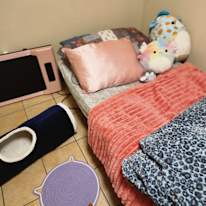 Vanessa's room