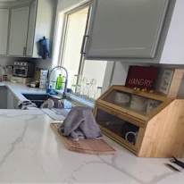 Room for rent's room