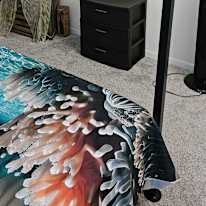 Teri's room